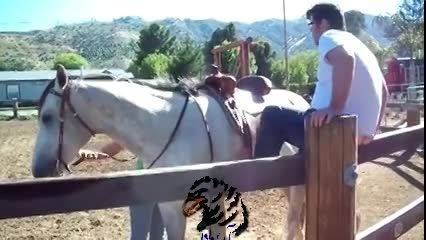 اسب سوار شدن هم مهارت می خواد !!!!