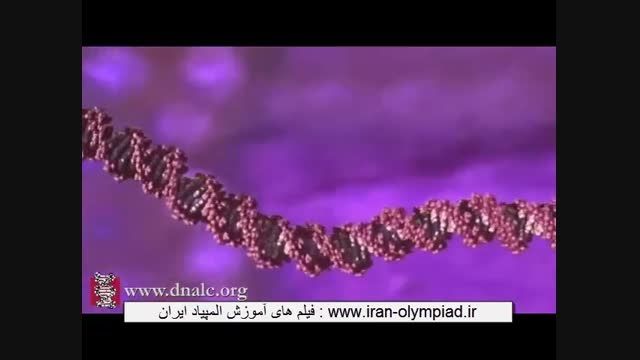 انیمیشن سلول: بسته بندی DNA - فارسی