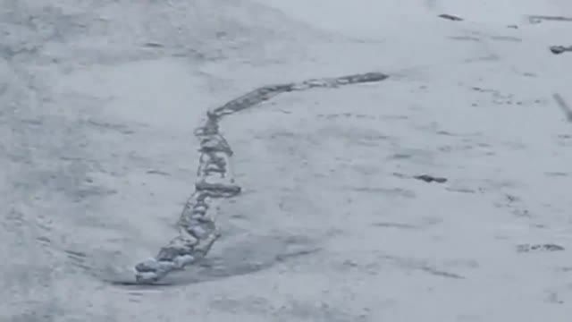 فیلم ضبط شده از هیولای دریاچه ایسلند