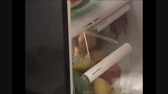 توپ بوگیر میوه و سبزیجات فریج بالز fridge balls
