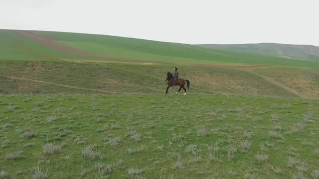 اسب استان اردبیل