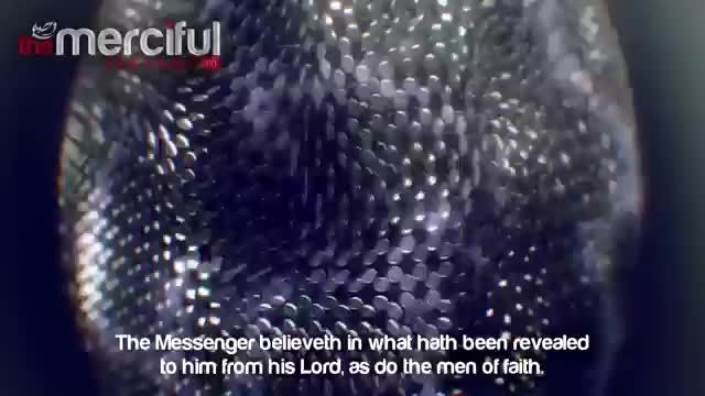 تلاوت  زیبای قرآن از قاری تازه مسلمان شده