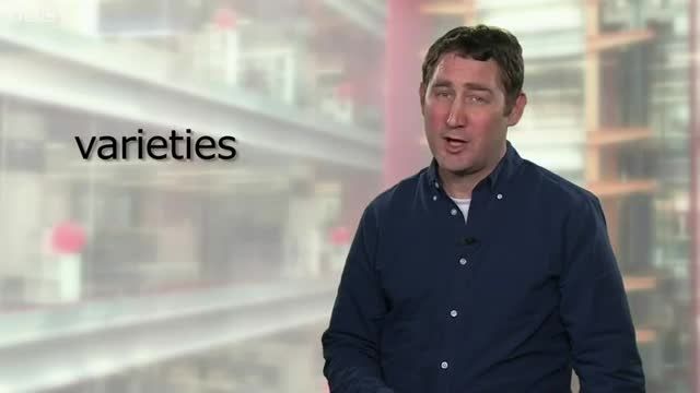 Learning English: Video Words in the News 89