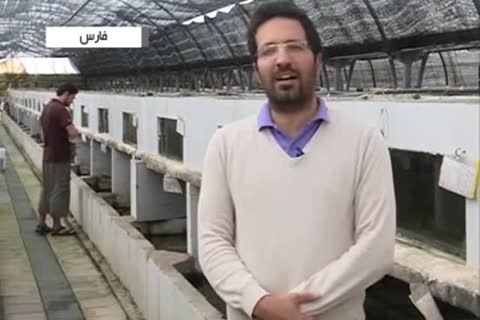 پرورش ماهیان زینتی شیراز+سودآور پرمنفعت فیلم ویدئو کلیپ