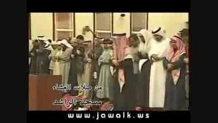 محمد طه جنید