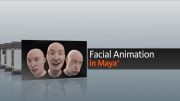 آموزش کاراکتر انیمیشن - حرکت سازی صورتface  animation