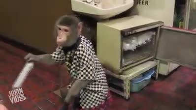 به این میگن میمون خخخخخ