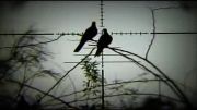 اوانیکس مانستر کالیبر 22 شکار پرنده
