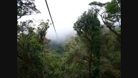 تاج پوشش جنگلهای کاستاریکا