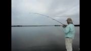 مستند کوتاه ماهیگیری با قلاب با لذت ماهیگیری