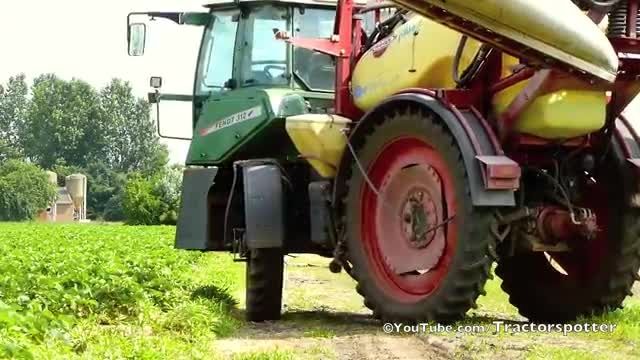 Strawberries Spraying w/ Special Widontec Fendt 312 Var