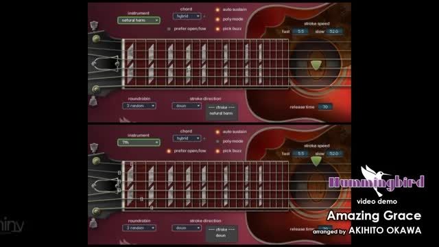 prominy hummingbird acoustic guitar4