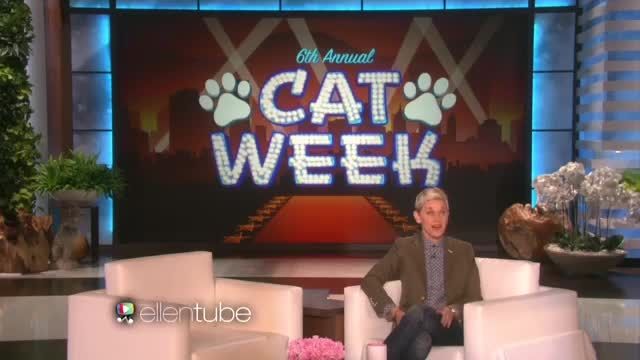 Ellen&#039;s 6th Annual Cat Week Is Here!