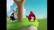 انیمیشن پرندگان عصبانی - پیکنیک تابستانی