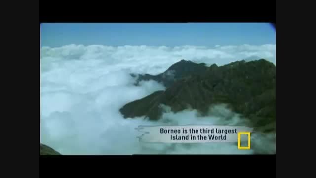 بورنئو، جزیره ای ناشناخته