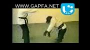 میمون کاراته باز (جالب)