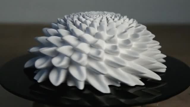 ساخت زوتروپ از اشیائی که سه بعدی پرینت شده اند