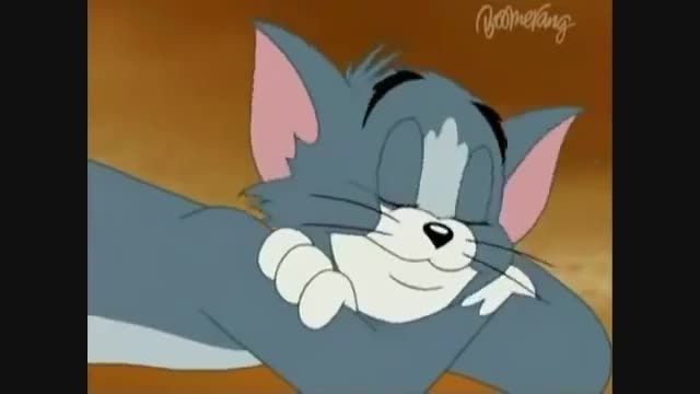 Tom and Jerry - Hi Robot