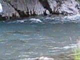 Fly fishing in New Zealand; monster trout battle