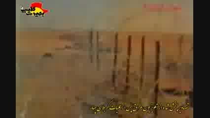 تصاویر واقعی از شهدای غواص ,پخش شده از تلویزیون عراق