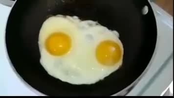 تخم مرغ باحال-حتما ببینید