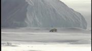 خرس قطبی، مستند Nature Perfect Predators