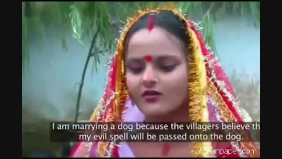 ازدواج دختر هندی با یک سگ