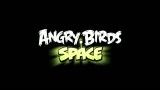نسخه جدید Angry Birds با نام Space