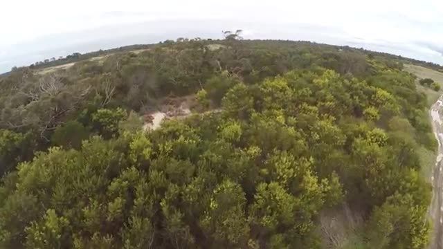 شکار هواپیمای بدون سرنشین توسط عقاب