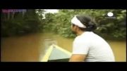 شیرجه در رودخانه آمازون