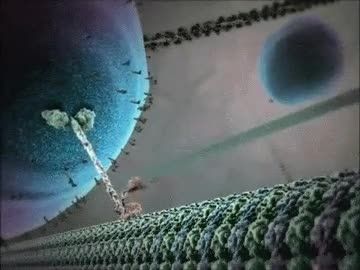 تصویر جالبی از موتورهای پروتئینی در سلول - از دیجی کمدی