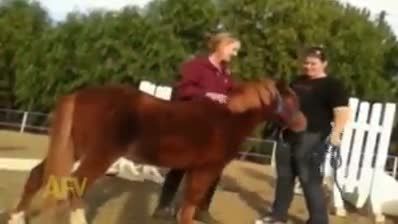 اسب سواری خنده دار