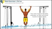 حرکات بدن سازی دو سر بازو - Pull Up Exercise