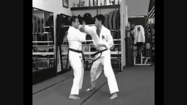 استاد بهزاد احمدی شورینجی ریو کاراته و اوکیناوا کوبوجوتسو