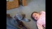 ناراحت شدن سگ به خاطر گریه کردن بچه,خیلی باحال