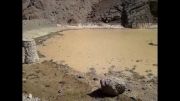 سد روستای روچی که 6 سال است پر آب نشده