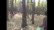 دارابکلا - پاکسازی جنگل موزیار از آشغال - قسمت سوّم