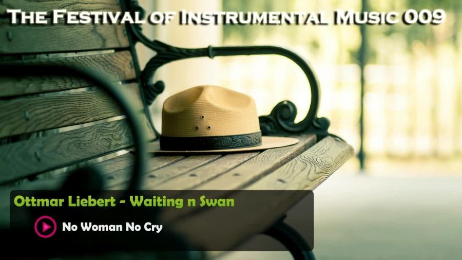 The Festival of Instrumental Music ۰۰9
