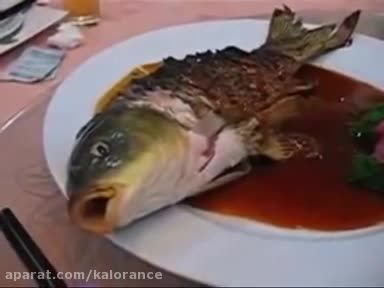 خوردن ماهی زنده در چین