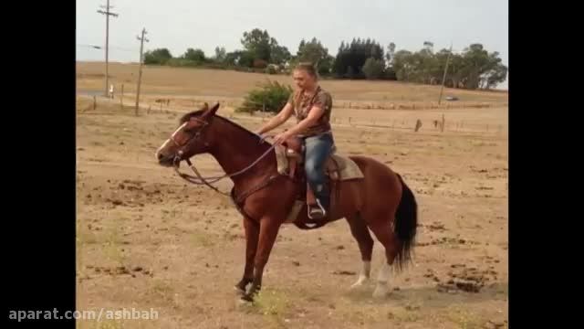 حمله اسب به دختر!!