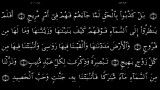 القرآن الکریم - 50 - سورة ق - سعد الغامدی