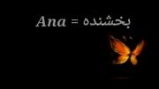 معنی اسم آنا ( Ana )