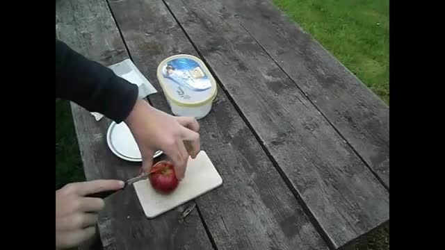 آموزش پرورش درخت سیب با استفاده از دانه