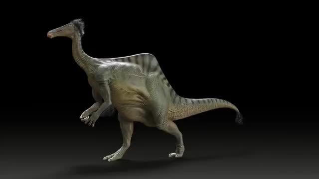 راه رفتن و شکل Deinocheirus