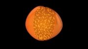 آرم ماده قوی وعجیب به رنگ پرتقالی-     D3O Impact