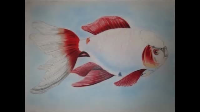نقاشی  من ماهی