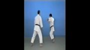 Ura Nage - 65 Throws of Kodokan Judo