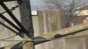 اورانگوتان های بانمك در باغ وحش