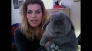 خرگوش بانمک وکوپول:)