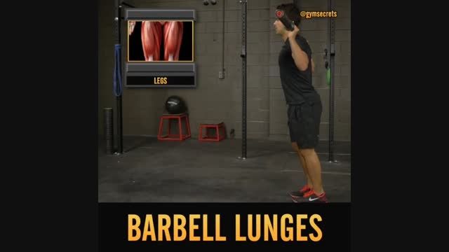 تمرین عضلات پا(organfit.ir)